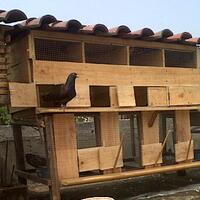 rumah-seharga-rp-112-juta-diresmikan-jokowi-mei-2017