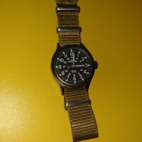 all-about-timex