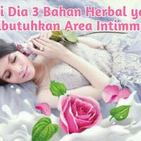 ini-dia-3-bahan-herbal-yang-dibutuhkan-area-intimmu-sis