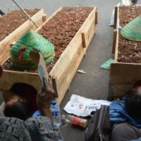 sepuluh-anak-petani-telukjambe-ikut-aksi-kubur-diri-di-monas