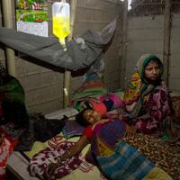 dituding-mencuri-sapi-muslim-india-ini-tewas-dihakimi-massa