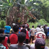 perempuan-tanpa-identitas-ditemukan-membusuk-di-semak-semak