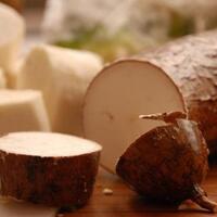 masturbasi-dengan-singkong-berbalut-kondom-wanita-ini-koma