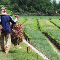 hukum-memberi-makan-buruh-saat-ramadan-begini-penjelasan-kiai-nu-se-jateng