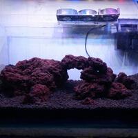 aquascape-for-everyone-learning-and-sharing---part-3