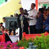 pemerintah-menargetkan-tak-ada-impor-jagung-tahun-ini