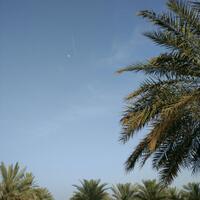 warung-kopi---berita-dan-politik-raya---part-1