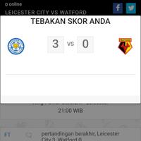 leicester-city-vs-watford