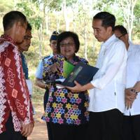 presiden-minta-penerima-izin-hutan-gunakan-lahan-secara-produktif