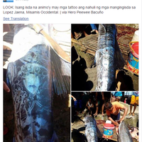 ada-ikan-bertato-di-filipina