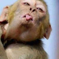 quotahok-kena-rizieq-juga-bisa-kenaquot