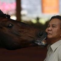 ahok-dipenjara-relawan-kapok-memilih-jokowi-di-pilpres-2019