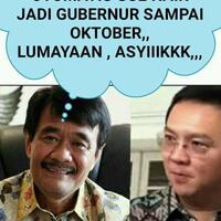 jokowi-minta-jual-aset-bumn