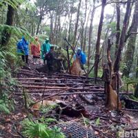 balai-besar-pangrango-jelaskan-kerusakan-hutan-akibat-buru-cacing