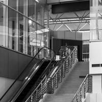 alun-alun-nikonian---part-14