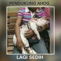 pengacara-rizieq-bisa-saja-belum-pulang-sampai-jokowi-tak-lagi-presiden