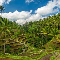 ini-daftar-10-desa-terbaik-di-indonesia