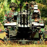 usut-punya-usut-meriam-error-saat-latihan-tni-ternyata-dari-china