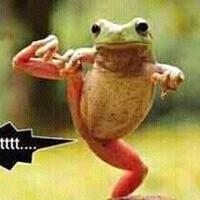 ramai-di-medsos-polisi-pastikan-warga-dayak-dan-fpi-tidak-bentrok