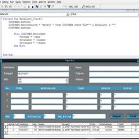 visual-basic-6-troubleshooting-ask