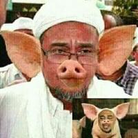 breaking-ahok-cabut-permohonan-banding