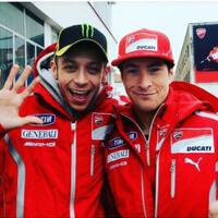 nicky-hayden039s-fans