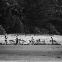 alun-alun-nikonian---part-14