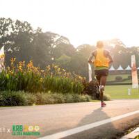 kavling-fujifilm-reborn