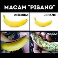 agan-ini-sulap-buah-pisang-jadi-banana-art-3d