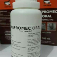 rcc-rabbit-lover---part-3