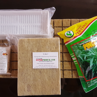 new-all-about-hidroponik