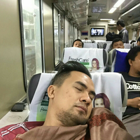 bikin-ngakak-ekspresi-hewan-saat-ngantuk-berat