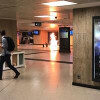 man--wearing-explosive-belt--shot-by-police-at-brussels-central-station
