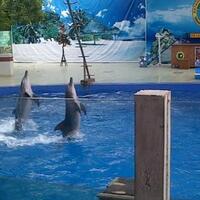 7-destinasi-wisata-sepanjang-jalur-pantura