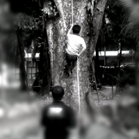mengenal-rappelling