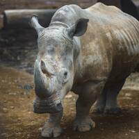 alun-alun-nikonian---part-14