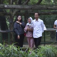 piknik-ke-ragunan-presiden-jokowi-tetap-beli-tiket