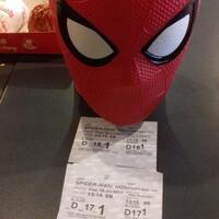 spider-man-homecoming-2017--your-friendly-neighbourhood-is-coming-home