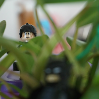 new-pendopo-sony-alpha---part-1