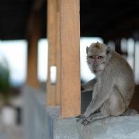 kavling-fujifilm-reborn