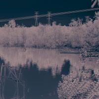 alun-alun-nikonian---part-14