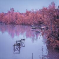 alun-alun-nikonian---part-14