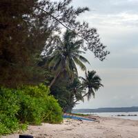 alun-alun-nikonian---part-14