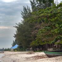 alun-alun-nikonian---part-14