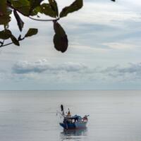 alun-alun-nikonian---part-14