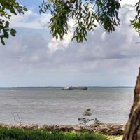 alun-alun-nikonian---part-14