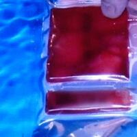 awas-makanan-ini-picu-sel-kanker-di-tubuh-anda