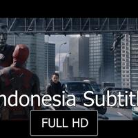 fenomena-lebah-ganteng-si-pembuat-subtitle-bahasa-indonesia-untuk-film-hasil-download