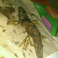 metal-detector-berbunyi-saat-periksa-nasi-bungkus