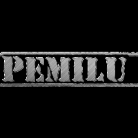 invitation-pemilu-regional-leader-malang